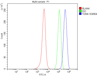 Flow Cytometry analysis of SH-SY5Y cells using anti-TGM4 antibody. Overlay histogram showing SH-SY5Y