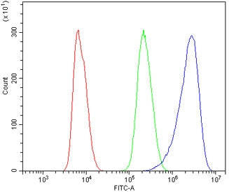 Flow cytometry testing of rat NRK cells with DR3 antibody at 1ug/million cells (blocked with goat se