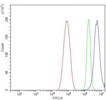 Flow cytometry testing of human HepG2 cells with Calponin 3 antibody at 1ug/million cells (blocked with goat sera); Red=cells alone, Green=isotype control, Blue= Calponin 3 antibody.