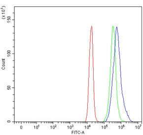 Flow cytometry testing of mouse RAW264.7 cells with Cd204 antibody at 1ug/million cells (blocked with goat sera); Red=cells alone, Green=isotype control, Blue= Cd204 antibody.