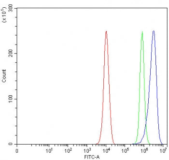 Flow cytometry testing of fixed and permeabilized human PC-3 cells with Angulin-2 antibody at 1ug/mi