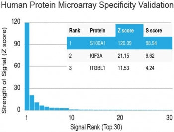 Protein array validation of the S100A1 antibody: Analysis of HuProt(TM) microarray containing more t