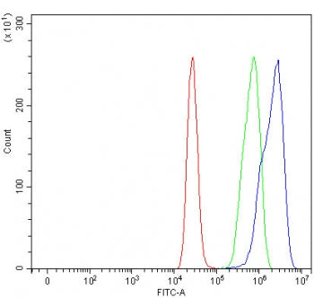 Flow cytometry testing of fixed and permeabilized human MCF7 cells with Nardilysin antibody at 1ug/m