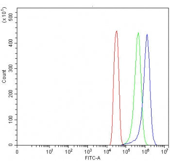 TMEM132A Antibody / HSPA5BP1
