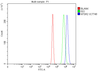 Flow Cytometry analysis of Neuro-2a cells using anti-NTSR2 antibody. Overlay histogram showing Neuro