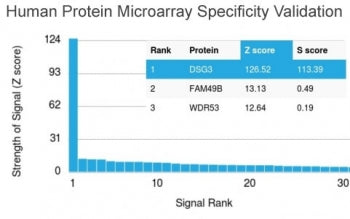 Analysis of HuProt(TM) microarray containing more than 19,000 full-length human proteins using Desmo