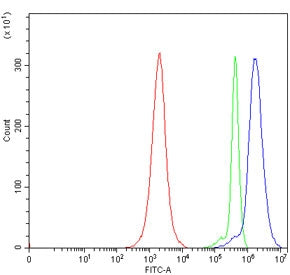 E2F5 Antibody