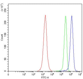 SLC5A7 Antibody / High affinity choline transporter 1