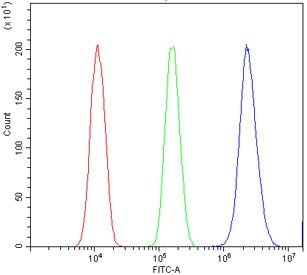 Flow cytometry testing of human A431 cells with TIF1 alpha antibody at 1ug/million cells (blocked wi