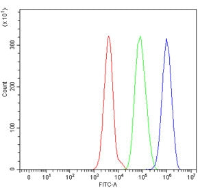 Flow cytometry testing of human HepG2 cells with CAT2 antibody at 1ug/million cells (blocked with goat sera); Red=cells alone, Green=isotype control, Blue= CAT2 antibody.