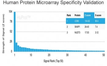 Analysis of HuProt(TM) microarray containing more than 19,000 full-length human proteins using CD80 