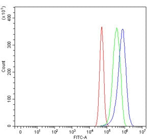 Flow cytometry testing of human U-87 MG cells with Nitric oxide synthase antibody at 1ug/million cel