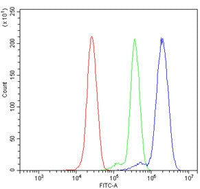 Flow cytometry testing of human ThP-1 cells with Olig1 antibody at 1ug/million cells (blocked with g