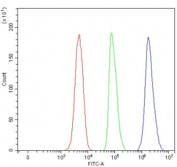 Flow cytometry testing of fixed and permeabilized human SH-SY5Y cells with TSSK4 antibody at 1ug/mil
