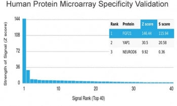 Fibroblast Growth Factor 21 Antibody / FGF21
