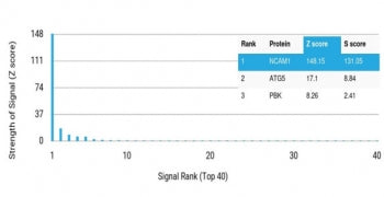 Analysis of a HuProt(TM) microarray containing more than 19,000 full-length human proteins using CD5