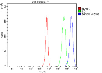 Flow Cytometry analysis of K562 cells using anti-K562 cells antibody. Overlay histogram showing K562