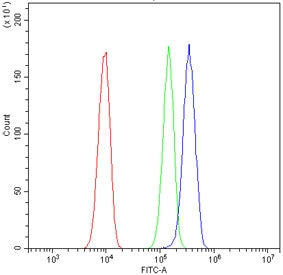 Flow cytometry testing of human A549 cells with EPHB2 antibody at 1ug/million cells (blocked with go