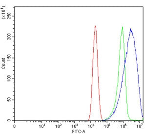 EPRS1 Antibody / Proline--tRNA ligase