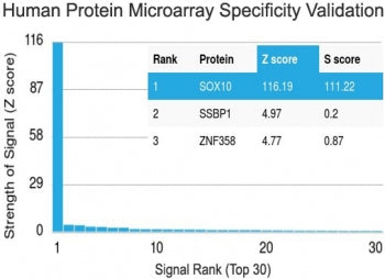 Protein array validation of the SOX10 antibody: Analysis of HuProt(TM) microarray containing more th