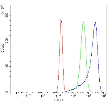 Sorting Nexin 5 Antibody / SNX5