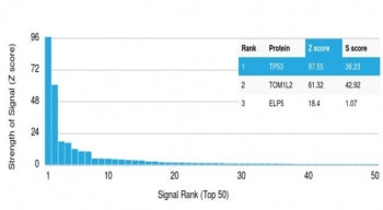 Protein array validation of the p53 antibody: Analysis of HuProt(TM) microarray containing more than