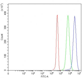 Flow cytometry testing of fixed and permeabilized human JK cells with C12orf53 antibody at 1ug/milli