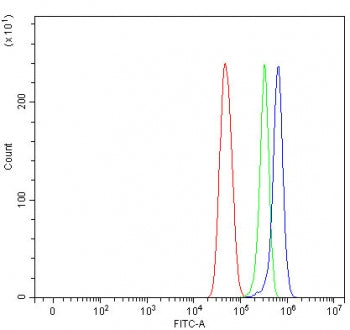 Flow cytometry testing of fixed and permeabilized human U-251 cells with NT5DC3 antibody at 1ug/mill