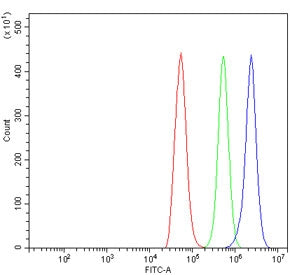 Flow cytometry testing of rat NRK cells with Cd226 antibody at 1ug/million cells (blocked with goat sera); Red=cells alone, Green=isotype control, Blue= Cd226 antibody.