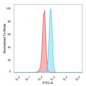 ZNF444 Antibody / ZSCAN17