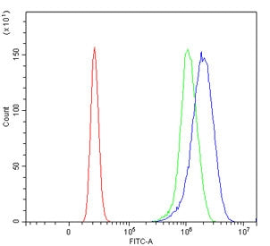 Cyclin T1 Antibody / CCNT1