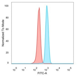 IRF3 Antibody