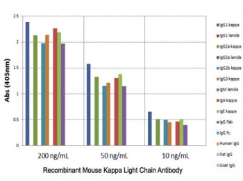 ELISA of mouse immunoglobulins shows the recombinant Mouse Kappa Light Chain antibody reacts to the 
