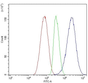 Flow cytometry testing of human HepG2 cells with APOA5 antibody at 1ug/million cells (blocked with goat sera); Red=cells alone, Green=isotype control, Blue= APOA5 antibody.