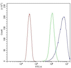 Flow cytometry testing of human HeLa cells with cPLA2-beta antibody at 1ug/million cells (blocked wi