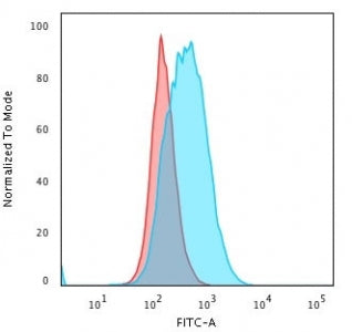 HLA-DPB1 Antibody (MHC II)