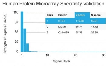 Analysis of HuProt(TM) microarray containing more than 19,000 full-length human proteins using ETS1 