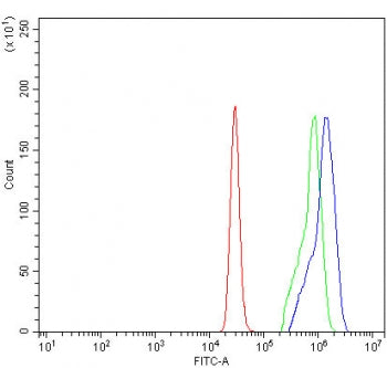 SIVA1 Antibody / CD27BP