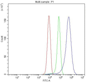 Flow cytometry testing of fixed human HepG2 cells with Ceruloplasmin antibody at 1ug/million cells (blocked with goat sera); Red=cells alone, Green=isotype control, Blue= Ceruloplasmin antibody.
