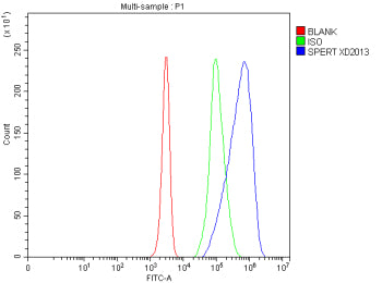 Flow Cytometry analysis of Jurkat cells using anti-CBY2 antibody. Overlay histogram showing Jurkat c