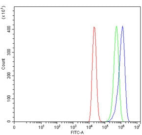 Flow cytometry testing of human ThP-1 cells with Neurotensin Receptor 1 antibody at 1ug/million cell