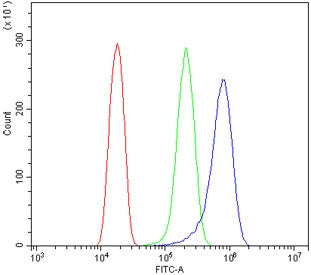 Flow cytometry testing of human HeLa cells with ATG7 antibody at 1ug/million cells (blocked with goa