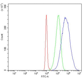 Flow cytometry testing of human HL60 cells with HSP75 antibody at 1ug/million cells (blocked with go