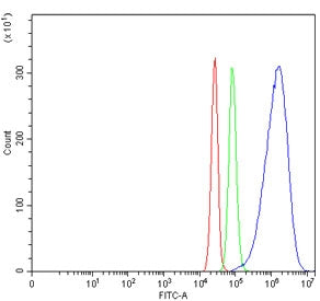 Flow cytometry testing of human SiHa cells with CYP7A1 antibody at 1ug/million cells (blocked with g