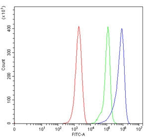 Flow cytometry testing of mouse ANA-1 cells with Mavs antibody at 1ug/million cells (blocked with go