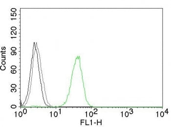Flow cytometry testing of human Jurkat cells. Black: cells alone; Grey: isotype control; Green: CD31