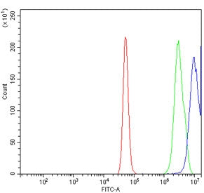Flow cytometry testing of human A431 cells with CLIC1 antibody at 1ug/million cells (blocked with go