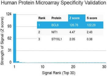 Protein array validation of the Bcl6 antibody: Analysis of HuProt(TM) microarray containing more tha