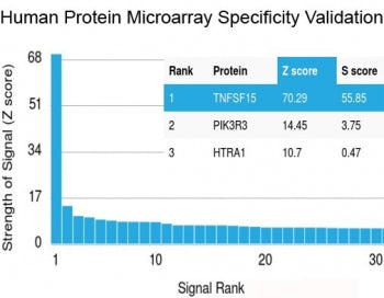 Analysis of HuProt(TM) microarray containing more than 19,000 full-length human proteins using recom