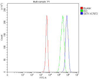 Flow Cytometry analysis of human 293T cells using anti-Senataxin antibody. Overlay histogram showing